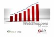 Relat³rio ecommerce Brasil - Webshoppers 19
