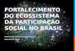Ecossistema Paticipação Social no Brasil