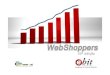 Ebit - Web Shoppers 20 - 1º Semestre / 2009 - Relatório de Informações sobre Comércio Eletrônico - E-commerce