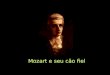 Mozart e seu cão fiel