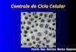 Ciclo Celular - Biologia Celular