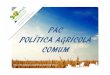 PAC_Política Agrícola Comum 2013.14
