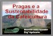 Manejo Integrado de Pragas (MIP) e a cafeicultura Maurício José Fornazier (Incaper)