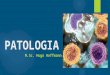 PATOLOGIA [001] - Introdução à Patologia