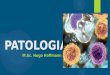 PATOLOGIA [004] - Inflamação Aguda e Crônica