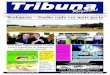 Jornal Tribuna Regional 74 15 a 31 de maio de 2013
