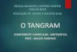 Projeto Tangram  _ Professor Inaldo Lopes