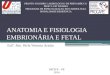 Anatomia e fisiologia embrionária e fetal