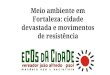 Meio ambiente em Fortaleza: cidade devastada e movimentos de resistência