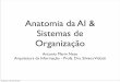 A anatomia da Arquitetura da Informação e Sistemas de Organização