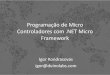 Netduino e .NET Micro Framework