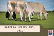 Bateria leite ABS Pecplan Jersey 2012