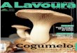 A lavoura - Cogumelos