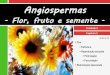 V.5 Angiospermas - flor, fruto e semente