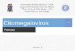 Citomegalovírus: Patologia