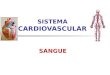 Sistema cardiovascular   sangue (1)