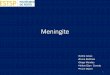 Meningite (1)