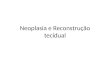 Neoplasia e reconstrução tecidual