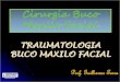 Traumatologia Buco Maxilo Facial 2013