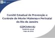 Apresentação do Comitê Estadual de Prevenção e Controle da Mortalidade Materna (31/05/12)