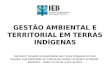Gestão Territorial e Ambiental Indígena