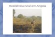 Resiliência Rural em Angola - Oliver Sykes, 15/11/2013
