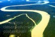 Amazônia o desenvolvimento sustentavel