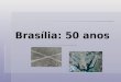 Brasília: 50 anos