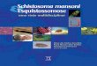 Schistosoma mansoni e esquistossomose uma visao multidisciplinar