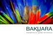 Bakuara | Nova Visão do Lixo