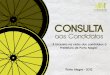Mobicidade consulta aos candidatos 2012 copy