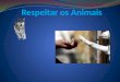 Respeito aos animais