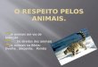 O respeito pelos animais