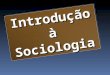 Sociologia - Principais teoricos da sociologia