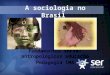 A sociologia no brasil