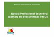 Painel III - Escola Profissional de Aveiro: exemplo de boas práticas em DS – André Cruz (EPA)