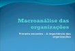 MacroanáLise Das OrganizaçõEs