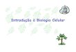 Biologia - Biologia Celular 1