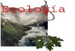 Ecologia: problemas y soluciones