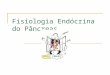 Fisiologia Endócrina Do Pâncreas