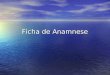 Ficha de Anamnese