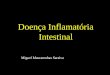 Doença Inflamatoria Intestinal