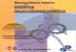 Biomecnica bsica Del Sistema Musculoesquel©tico (3ed)