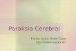 Paralisia Cerebral  - Terapia ocupacional
