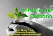 Palestra "Creditos de Carbono"
