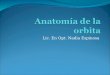Tema 1. Anatomia de La Orbita