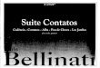 Paulo Bellinati - Suite Contatos