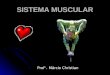 Sistema Muscular Marcio