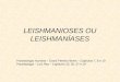 Leishmanioses Ou LeishmanÍases