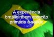 A experiência brasileira em atenção primária à saúde